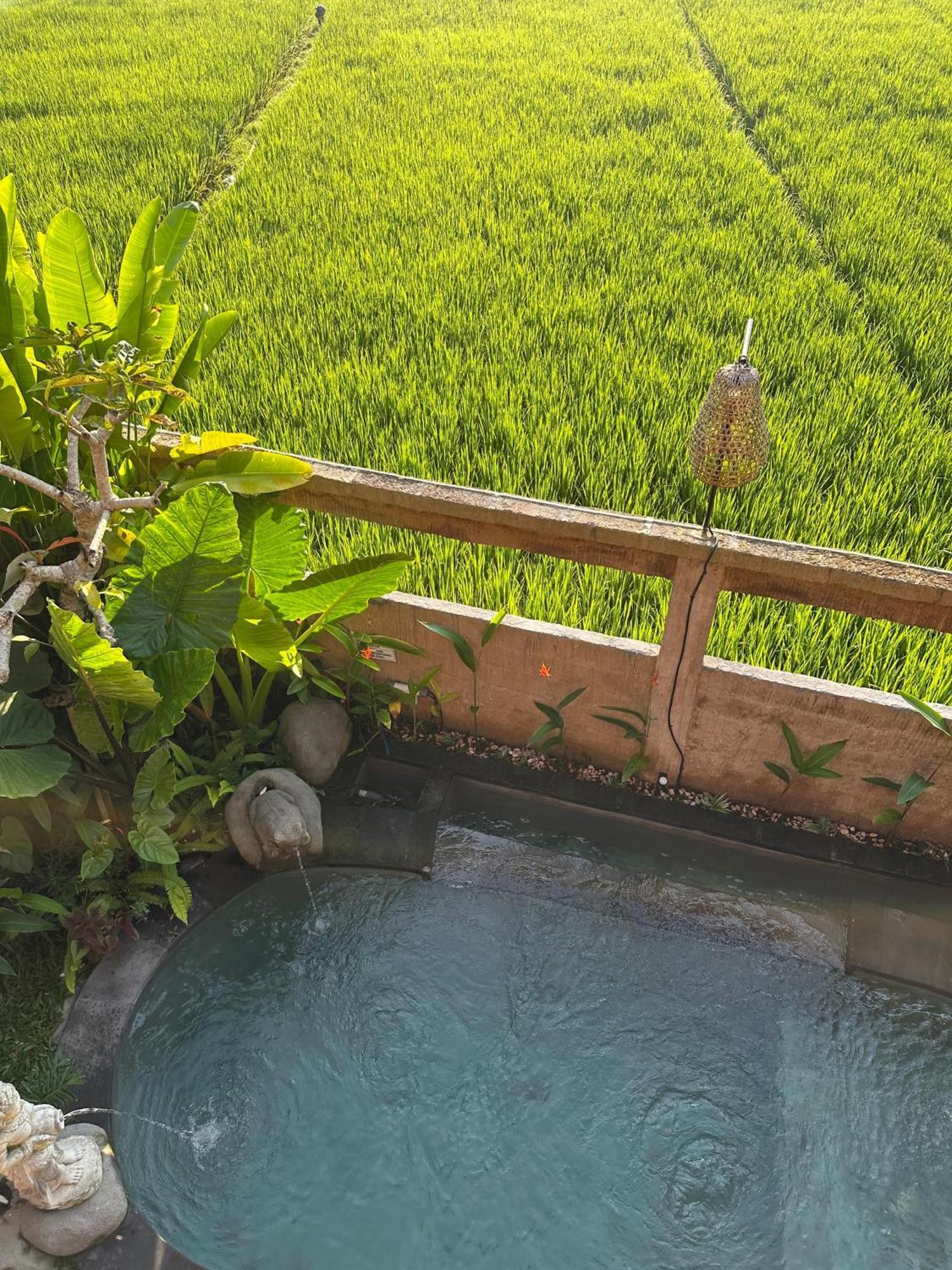 Aditara Sebatu Villa Ubud Exteriör bild