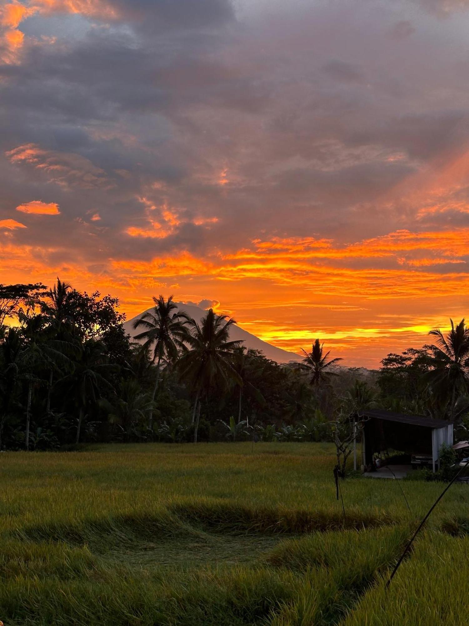 Aditara Sebatu Villa Ubud Exteriör bild